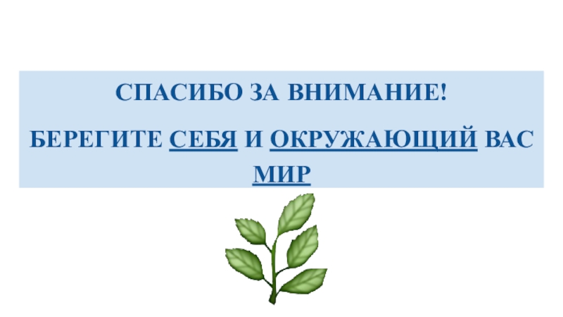 Спасибо за внимание берегите себя и своих близких для презентации