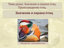 Тема урока: Значение и охрана птиц. Происхождение птиц.
Значение и охрана