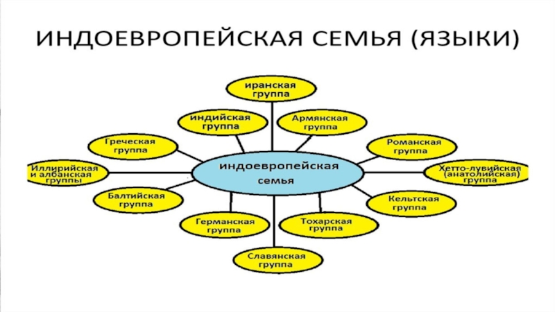 Место русского языка среди других предметов в нашей школе проект