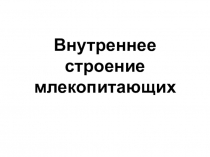 Внутреннее строение млекопитающих