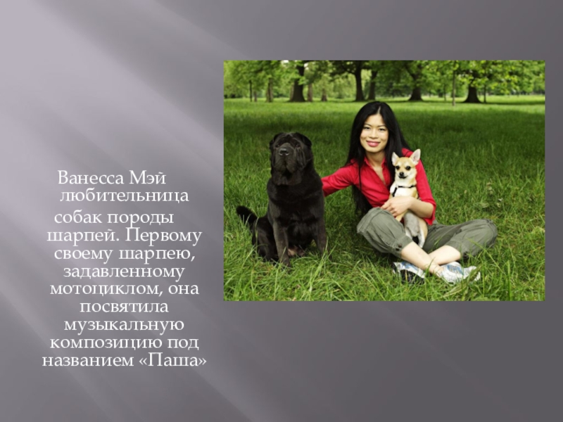 Ванесса Мэй любительница собак породы шарпей. Первому своему шарпею, задавленному мотоциклом, она посвятила музыкальную композицию под названием