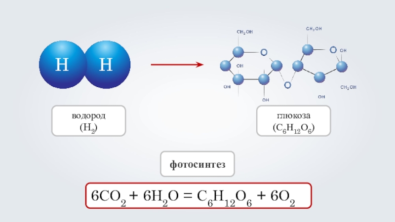 HH6СО2 + 6Н2О = С6Н12О6 + 6О2фотосинтезводород(H2)глюкоза(С6Н12О6)